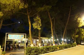 Çamlik Motel ve Restaurant - Image 5