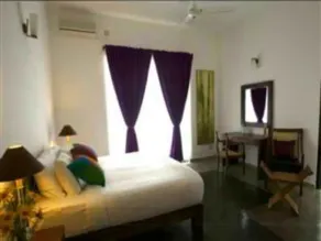 Mangrove Escapes - Image 2