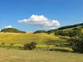 L Hermitage De Bidouchac - Image 3