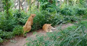 Hotel Abirami - Image 4