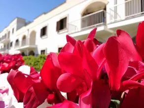 Villagio Il Catalano - Image 4