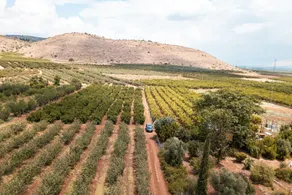 Bayit Bateva - Image 3