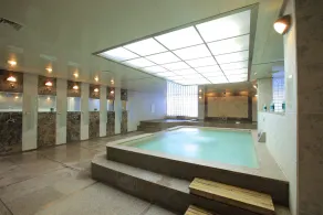 Yongpyong Greenpia Condominium - Image 3