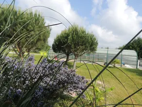 Domaine Maevag - Image 3