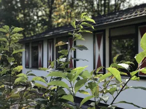 Vakantiepark Westerbergen BV - Image 5