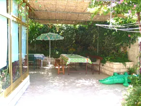 Vijola - Image 5