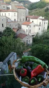 B&B Monte Mare Tortora - Image 4