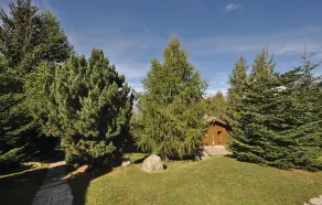 Larix - Image 3