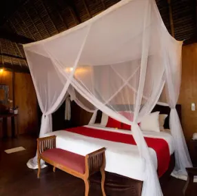 Royal Palm Villas at Monley Forest - Image 3