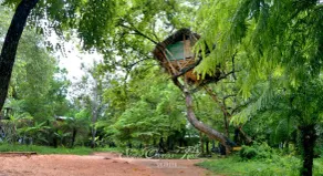 Sigiri Queens Guest House - Image 5