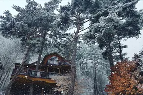 Pyeongchang Forest Morning Pension - Image 2