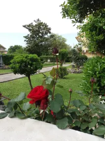 Apartmani Petkovic - Image 5