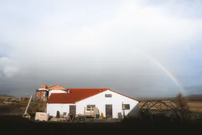 Spirit Farm - Image 4