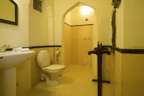 Naila Bagh Palace - Image 3