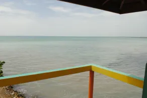 Bluefields on the Bay - Image 3
