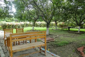 Mandarin Resort - Image 5