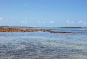 Vila Moa - Image 5