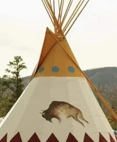 Mountain Horse Farm - Image 3