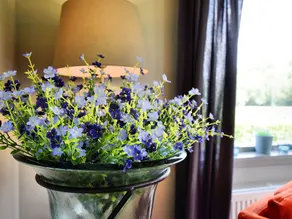 Comfortable Bungalow With Terrace and Garden Overlooking the Ourthe - Image 3