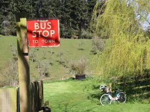 The Red Bus! - Image 2