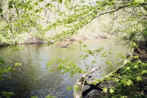 Tentrr - Creekside Woods Getaway - Image 4