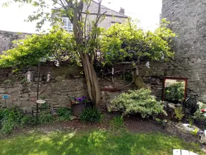 The Dante Arms - Image 4
