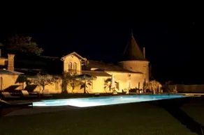 Chateau de Puyrigaud - Image 5