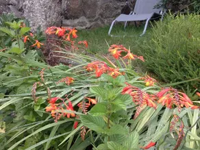 Chez Catie - Image 4