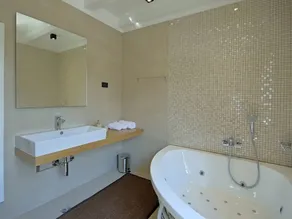 Villa con sauna, barbecue e piscina privata - Image 4