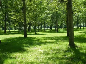 Village Vacances Eco l'Eau - Campground - Image 3