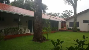 Bosque Da Neblina - Image 3
