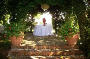 Podere Vitiano - Image 4