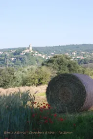 Etoile D'Euria - Image 3