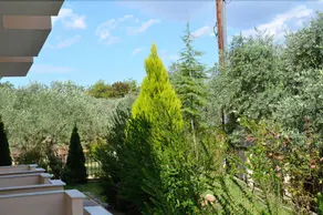 Amarilia Studios - Image 5
