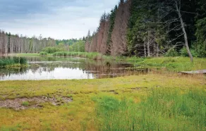 Beautiful Home in Lingarö With 1 Bedrooms, Sauna and Wifi - Image 3