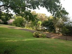 Jacaranda Cottages - Image 3