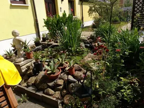 Ferienwohnung der Familie Thierse - Image 5