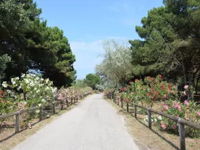 Nicely furnished and detached chalet on the Adriatic coast - Image 2