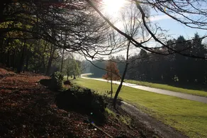 Haigh Hall Hotel - Image 5