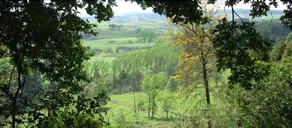 Pleasant Places Guesthouse - Image 2