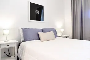Beautiful Main Floor Apartment in the Annex - Image 4