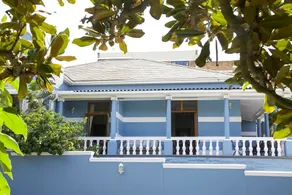 The Blue House - Image 3