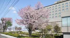 Hotel City Plaza Kitakami - Image 3
