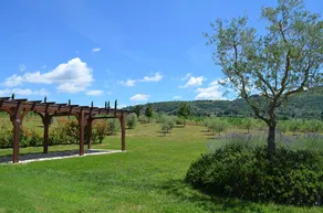Tuscan Style Eco-Farm Molinaccio - Image 2