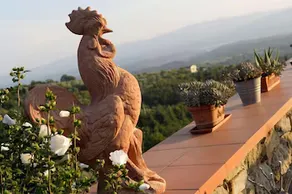 Agriturismo Podere Picciolo - Image 2