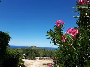 Villa Tonka-Marta - Image 4
