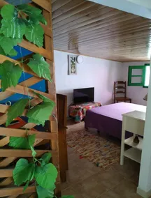 El Jardin - Image 2