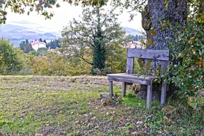 Il Podere Degli Artisti - Image 3