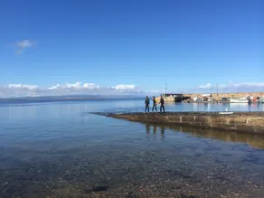 Harbour View - Image 5
