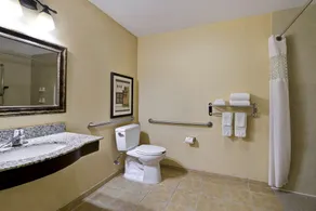 Hampton Inn & Suites Tahoe-Truckee - Image 5